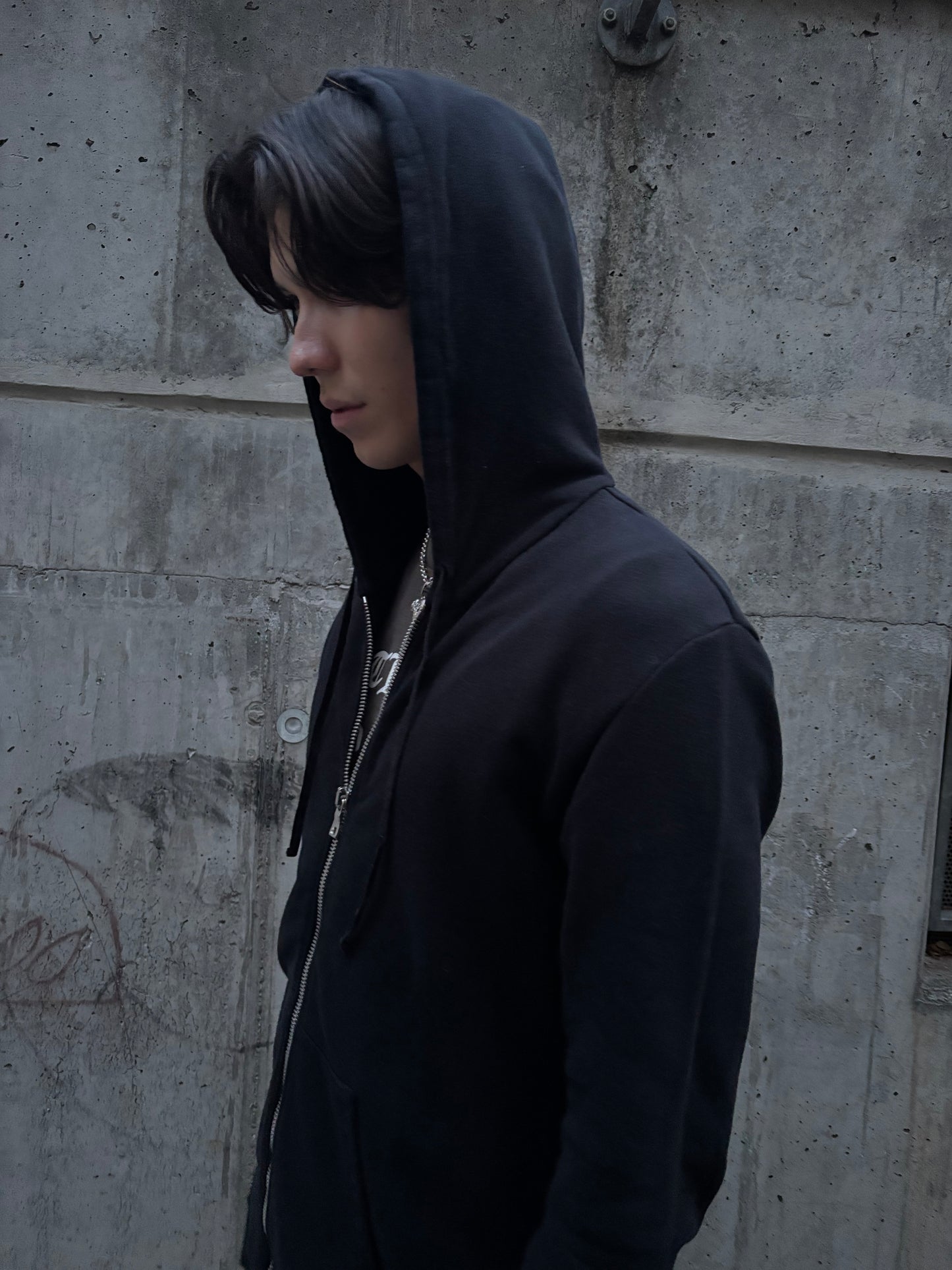 Balmain Decarnin Era Zip Hoodie (L)