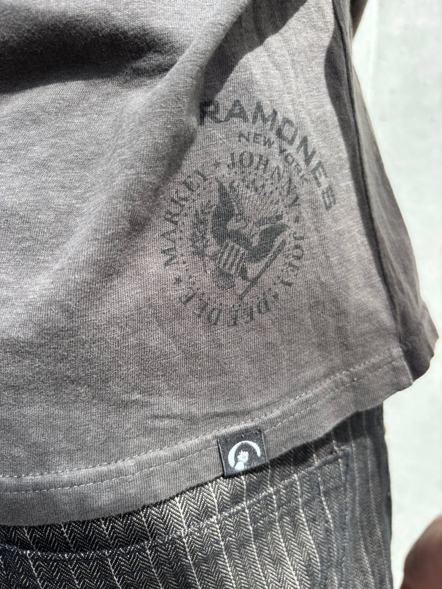 Hysteric Glamour Faded Brown Ramones Tee (M)